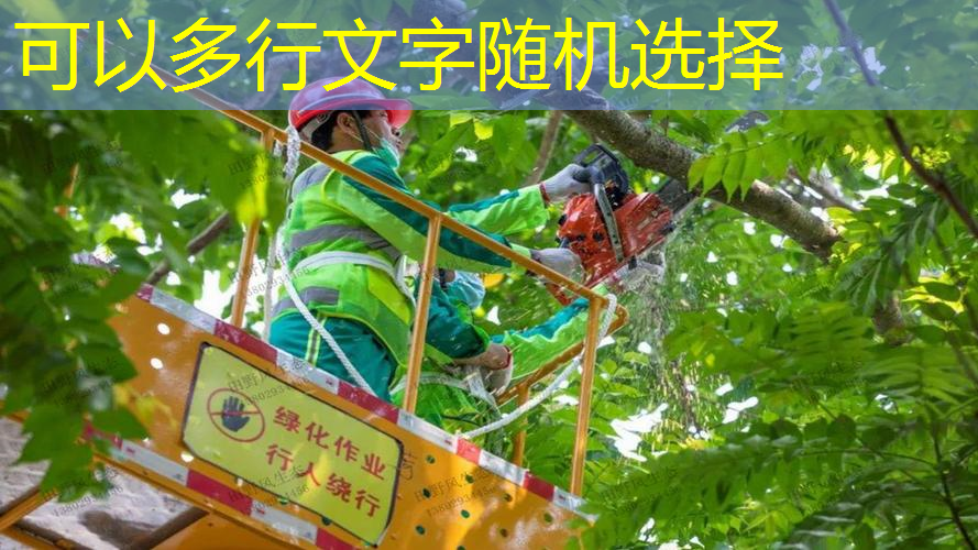 汝州小屯廊道绿化工程