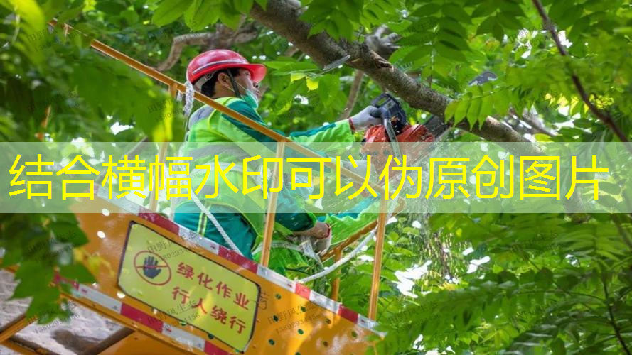 100平方别墅园林景观设计实景