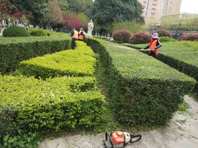 蔡甸区优势城市绿化工程设计